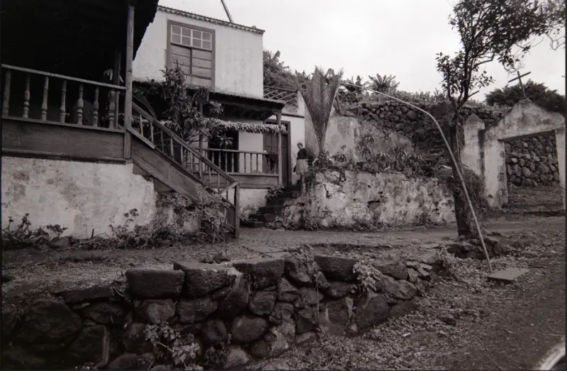 Vélez de Ontanilla o Pinto de Guisla - Las Nieves